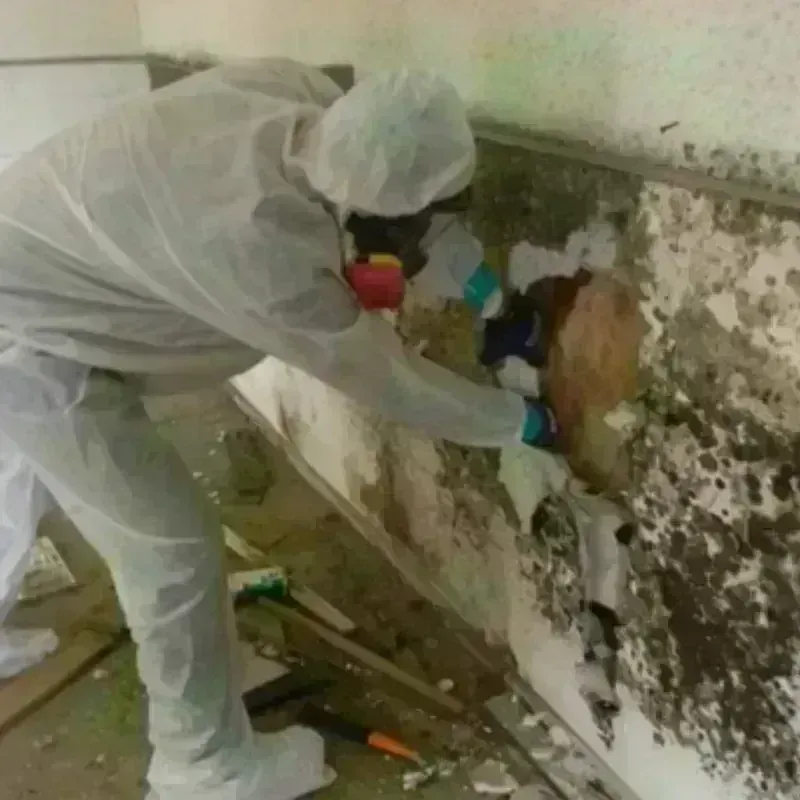 Mold Remediation and Removal in Lakeview, GA