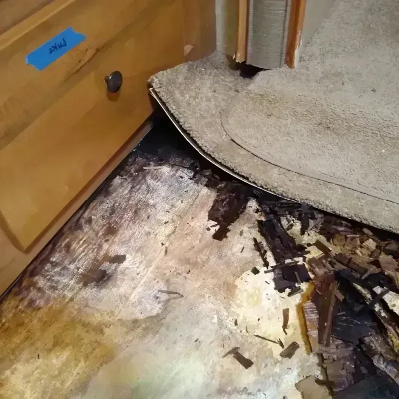 Wood Floor Water Damage in Lakeview, GA